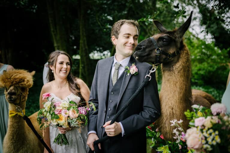 Add Something Extra Special: Llamas at Your Summer Wedding