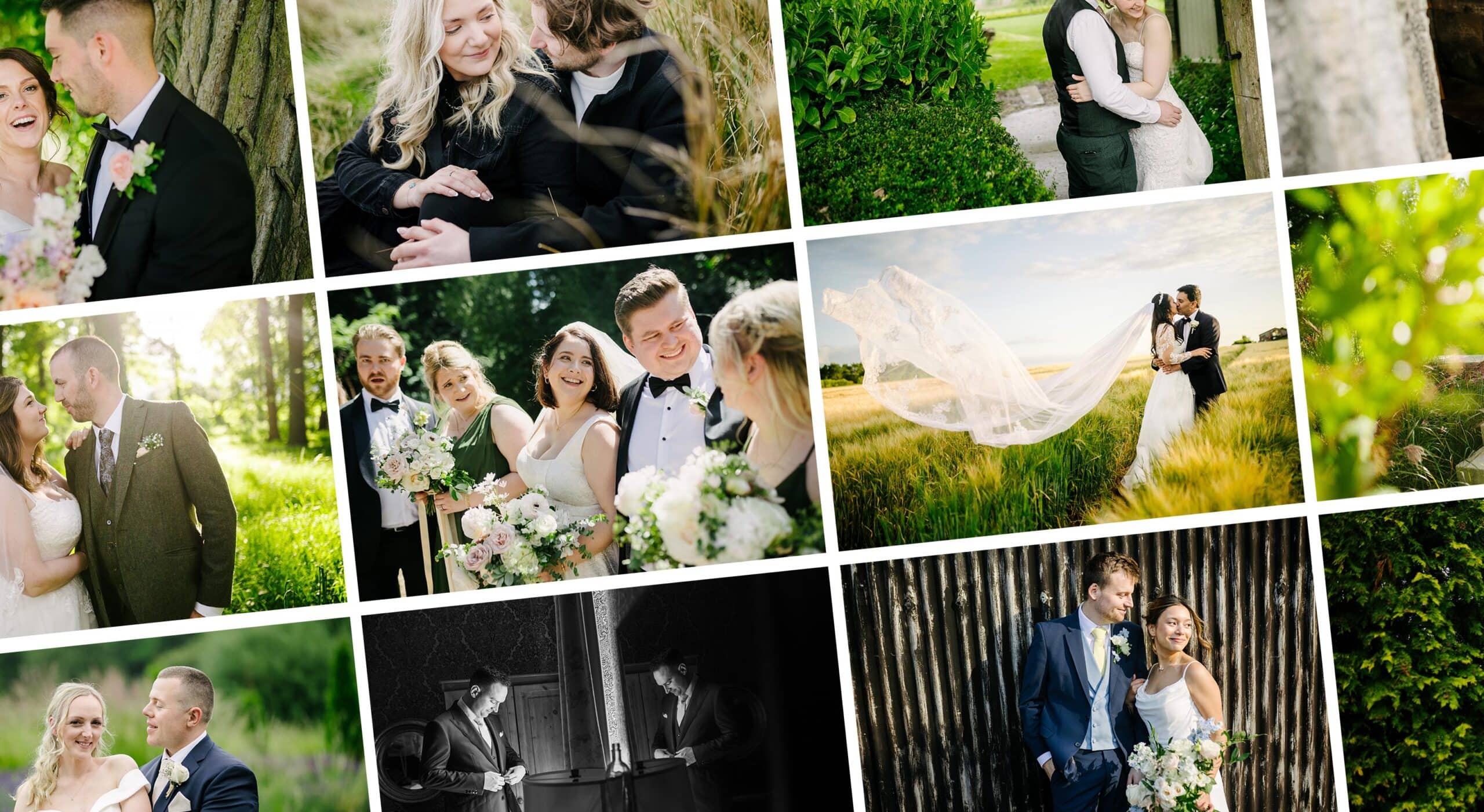 wedding photography a year in review 2024