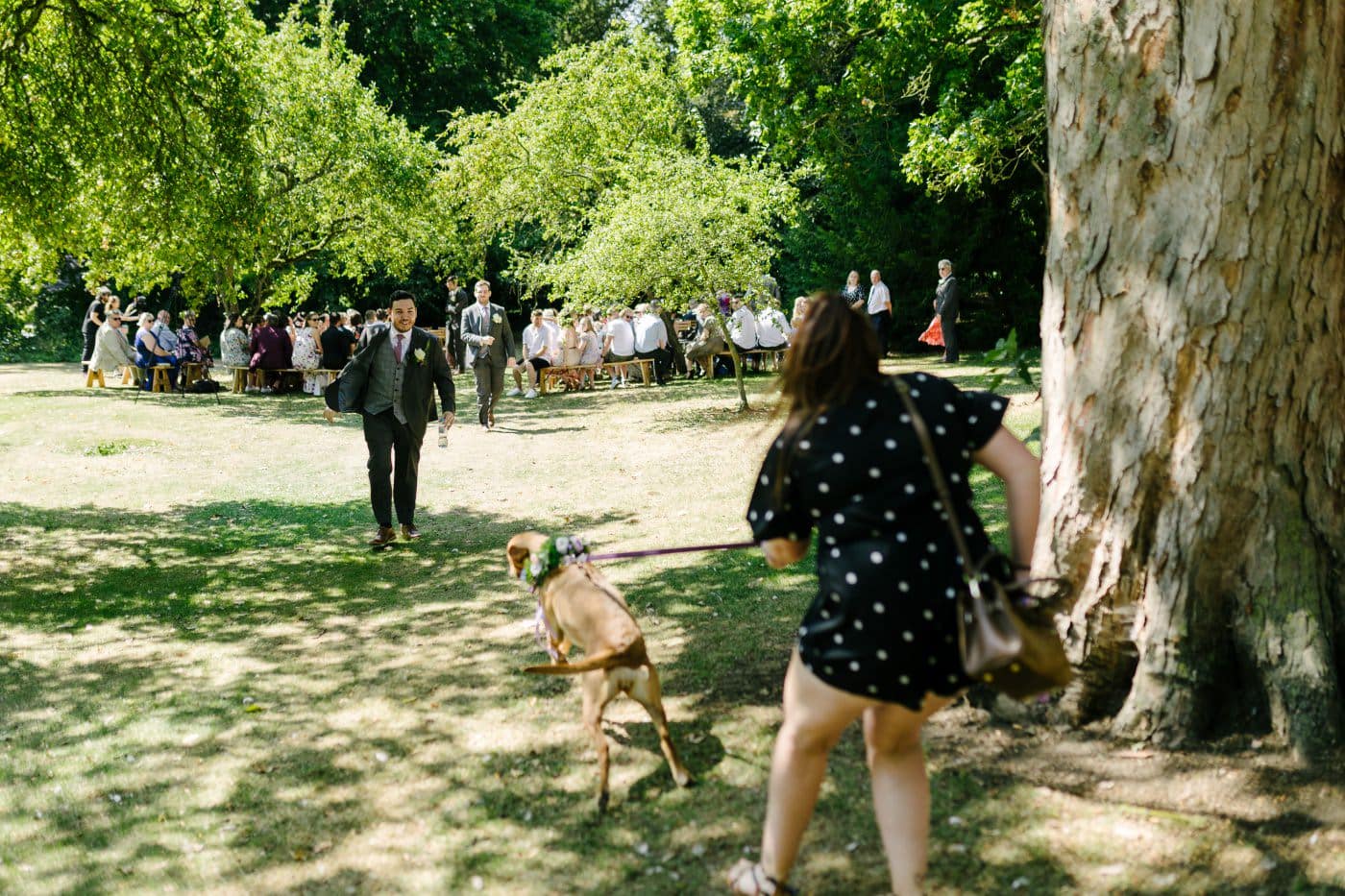 The vibrant gardens enhance the colorful wedding and lively weddings festivities, adding bursts of hue and natural beauty.